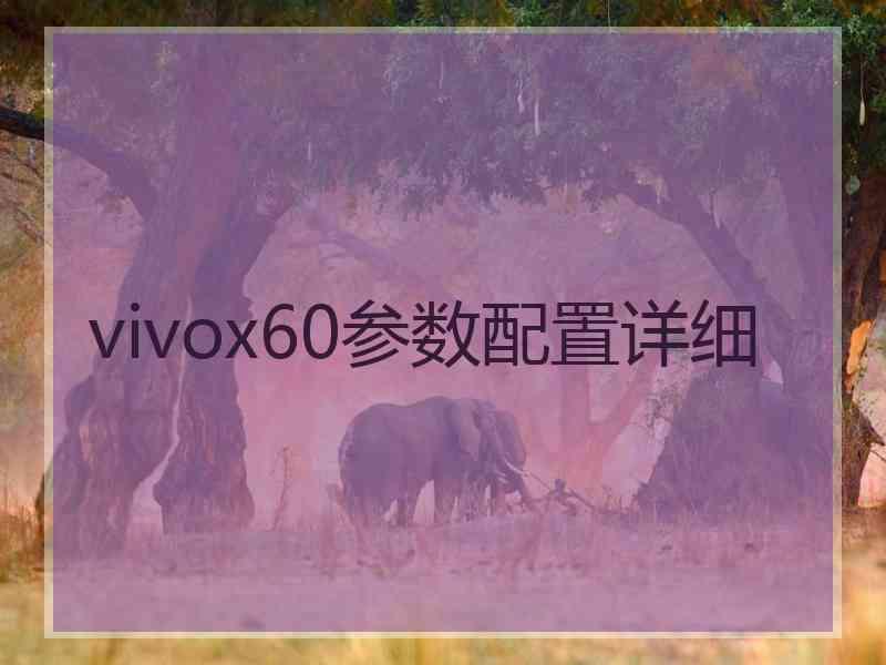 vivox60参数配置详细