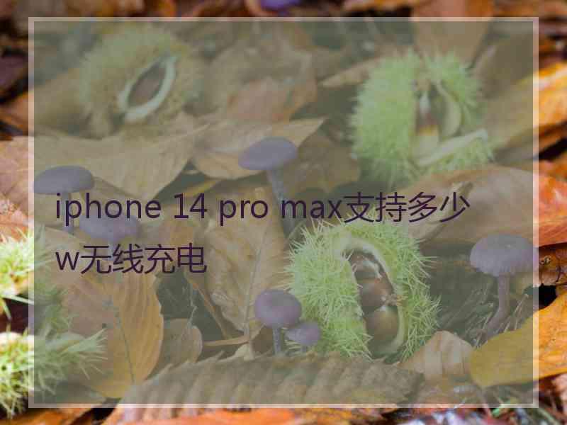 iphone 14 pro max支持多少w无线充电