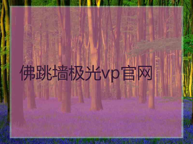 佛跳墙极光vp官网