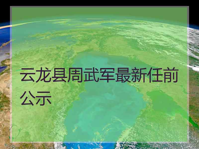 云龙县周武军最新任前公示