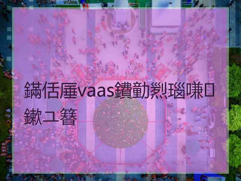 鏋佸厜vaas鐨勭煭瑙嗛鏉ユ簮