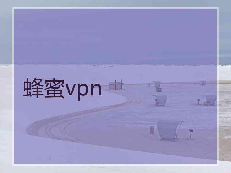 蜂蜜vpn