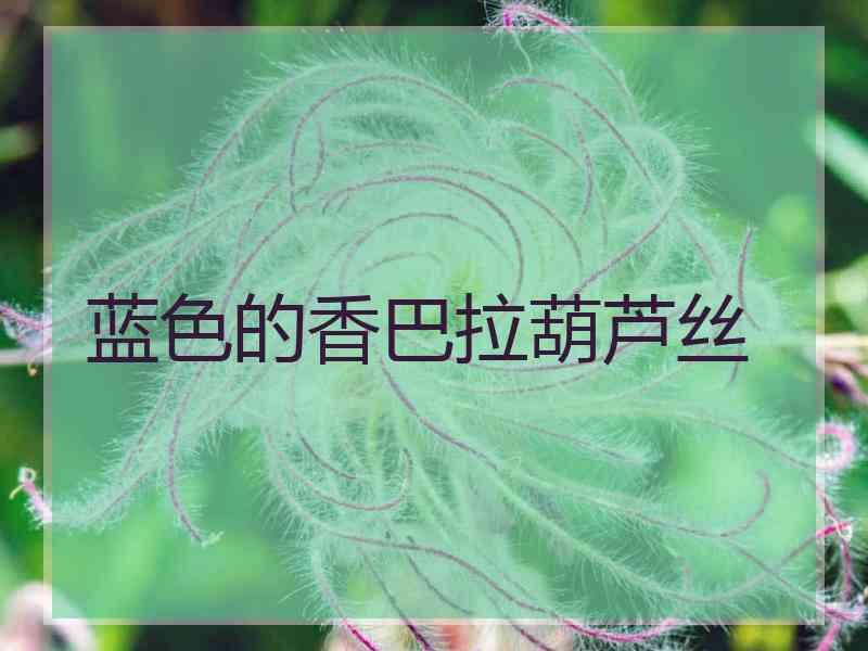 蓝色的香巴拉葫芦丝