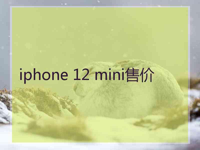 iphone 12 mini售价