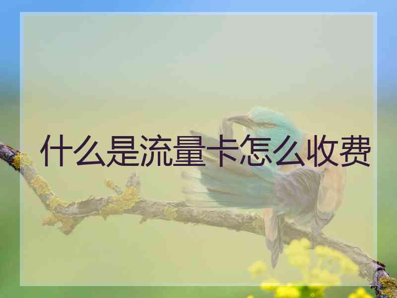 什么是流量卡怎么收费