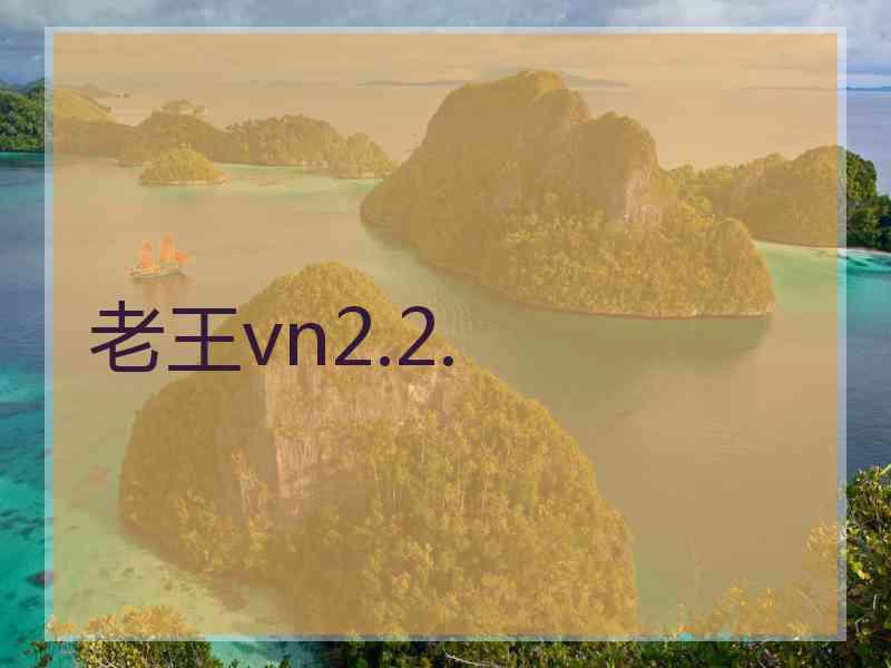 老王vn2.2.