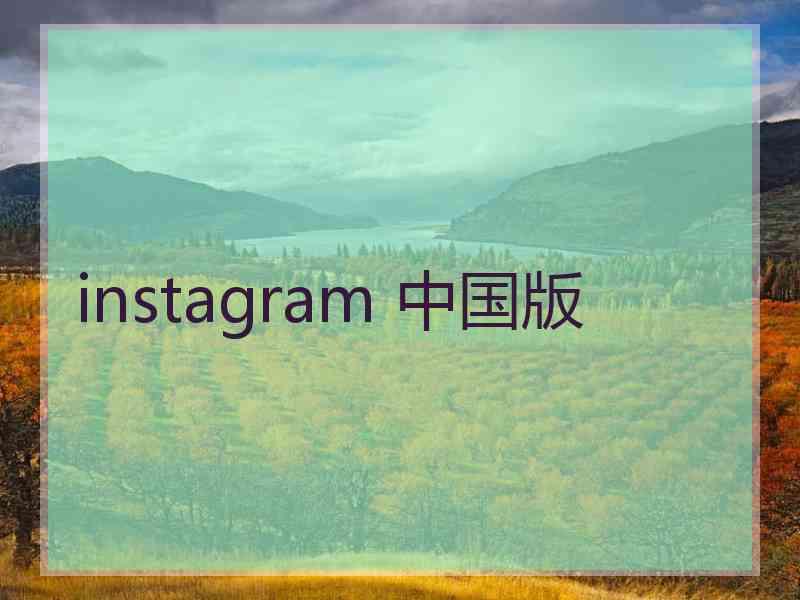 instagram 中国版