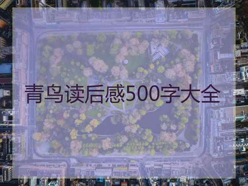 青鸟读后感500字大全