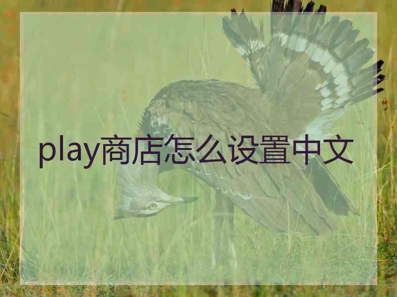 play商店怎么设置中文