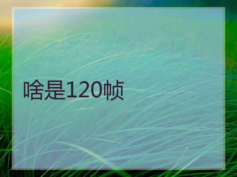 啥是120帧