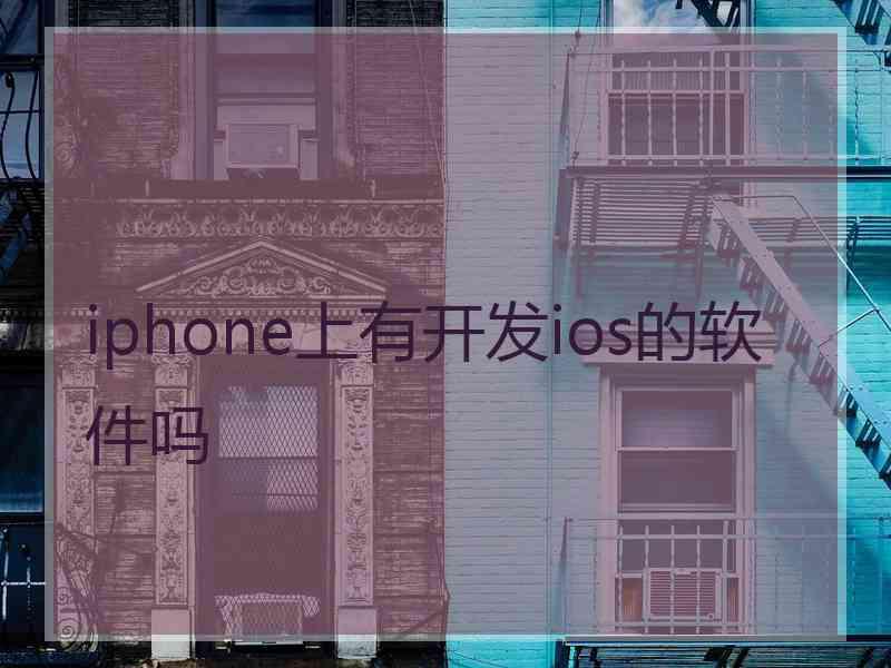 iphone上有开发ios的软件吗