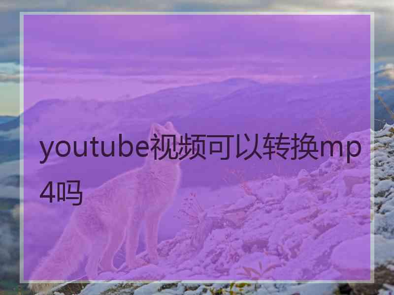 youtube视频可以转换mp4吗