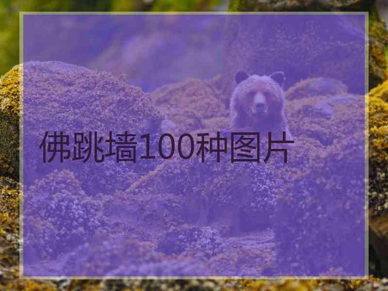 佛跳墙100种图片