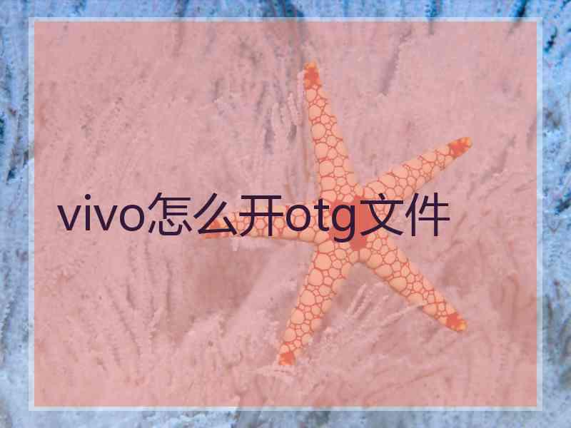 vivo怎么开otg文件