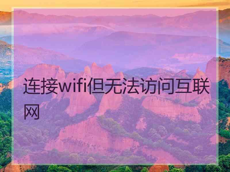 连接wifi但无法访问互联网