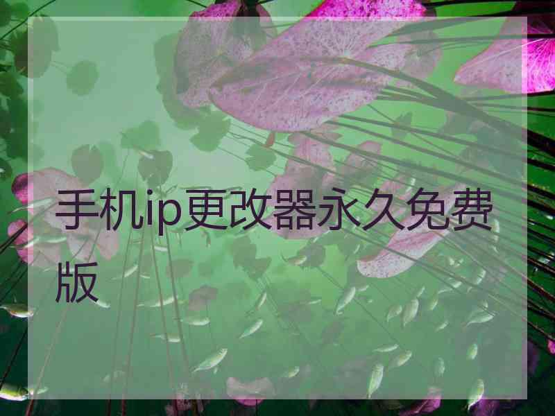 手机ip更改器永久免费版