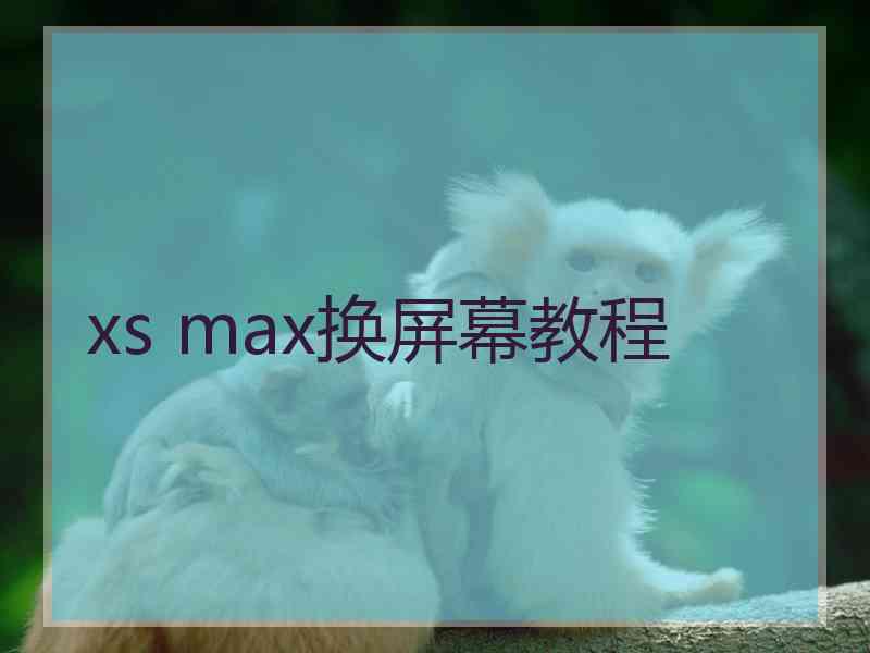 xs max换屏幕教程