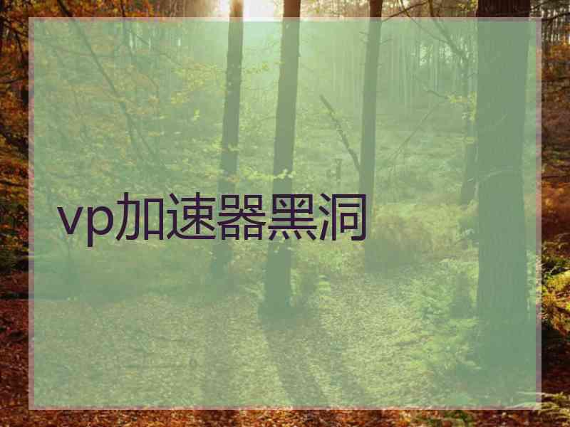 vp加速器黑洞