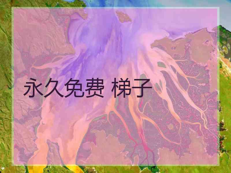 永久免费 梯子