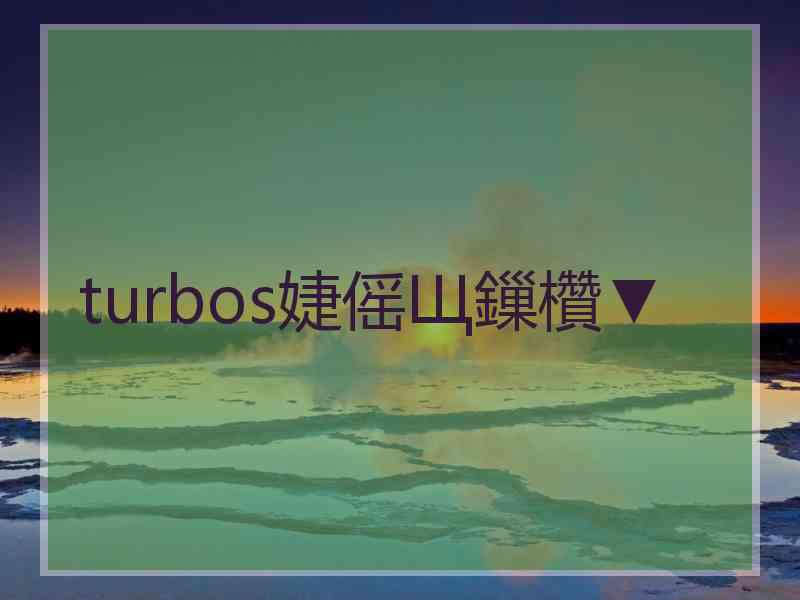 turbos婕傜Щ鏁欑▼