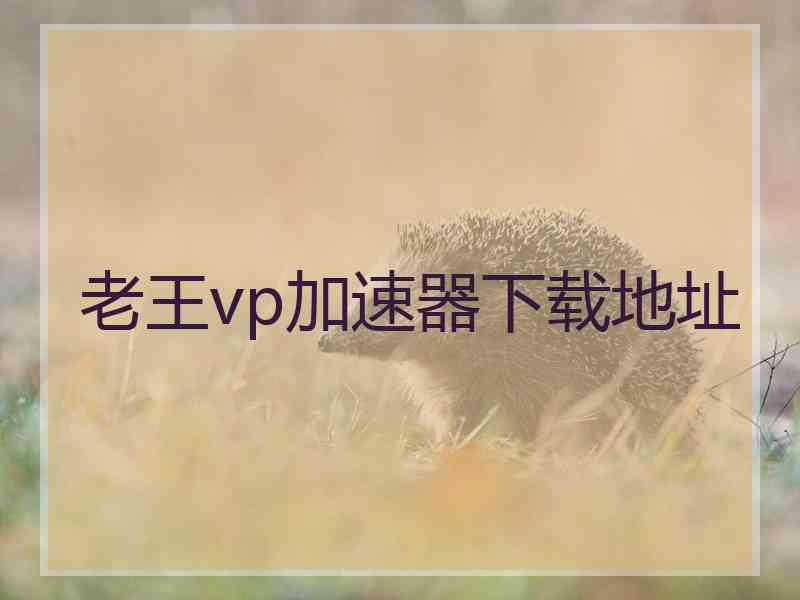 老王vp加速器下载地址