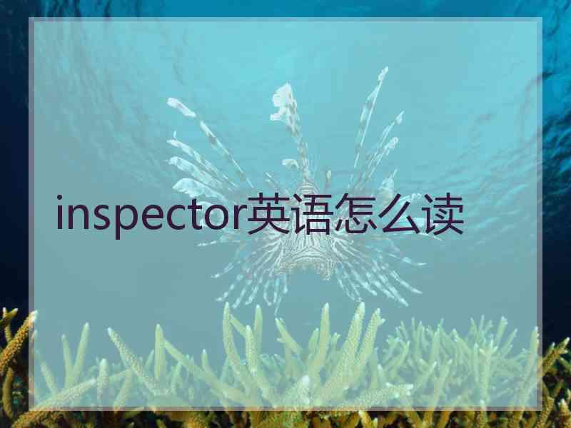 inspector英语怎么读