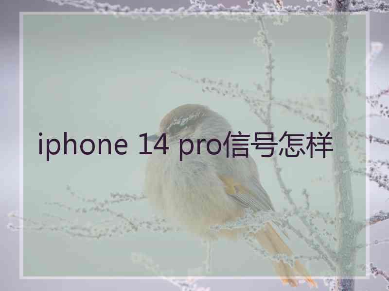 iphone 14 pro信号怎样