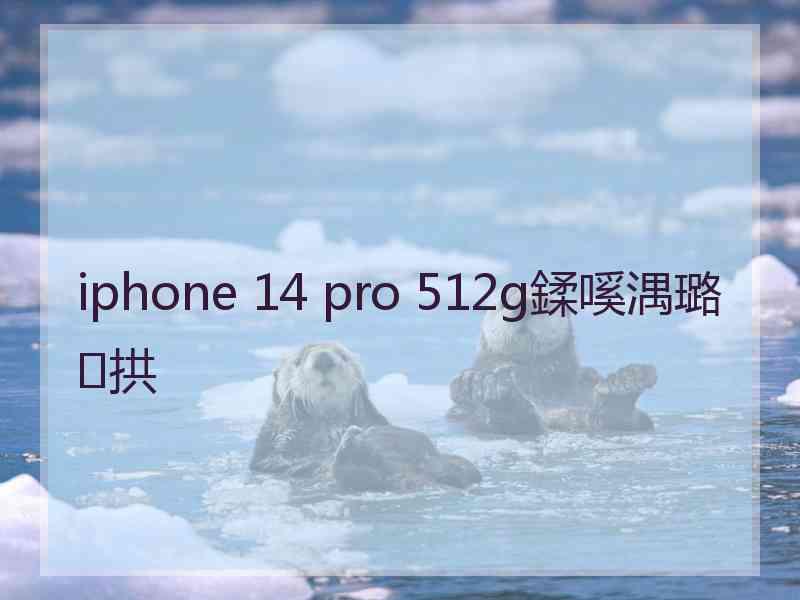 iphone 14 pro 512g鍒嗘湡璐拱