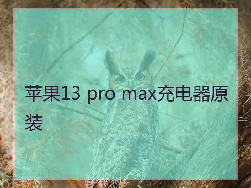 苹果13 pro max充电器原装