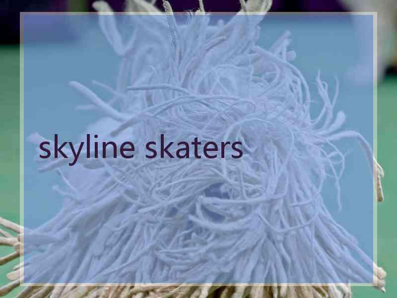 skyline skaters