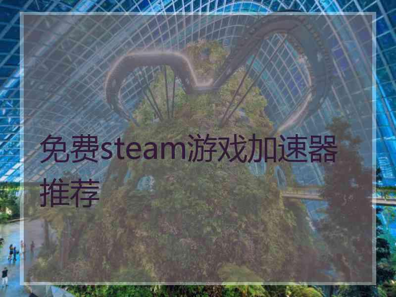 免费steam游戏加速器推荐