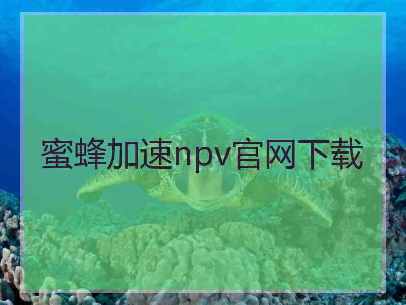 蜜蜂加速npv官网下载