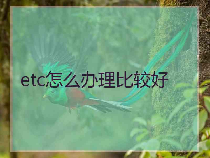 etc怎么办理比较好