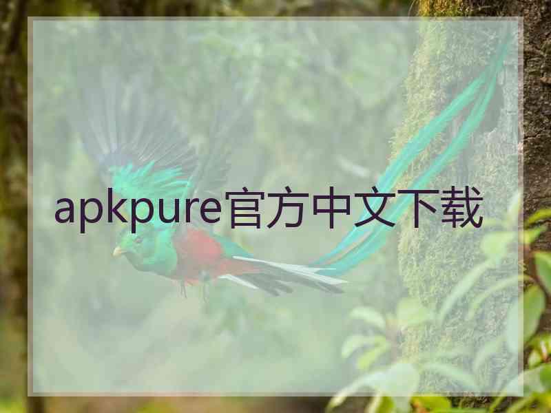 apkpure官方中文下载