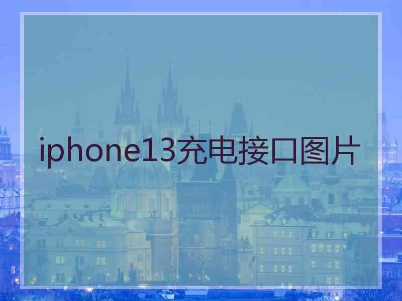 iphone13充电接口图片