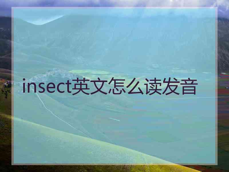 insect英文怎么读发音