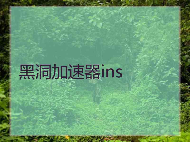 黑洞加速器ins