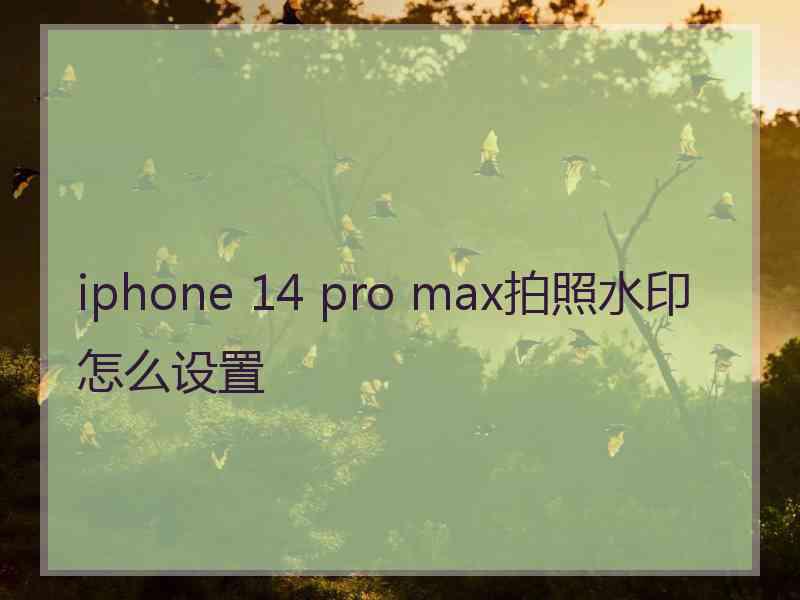 iphone 14 pro max拍照水印怎么设置