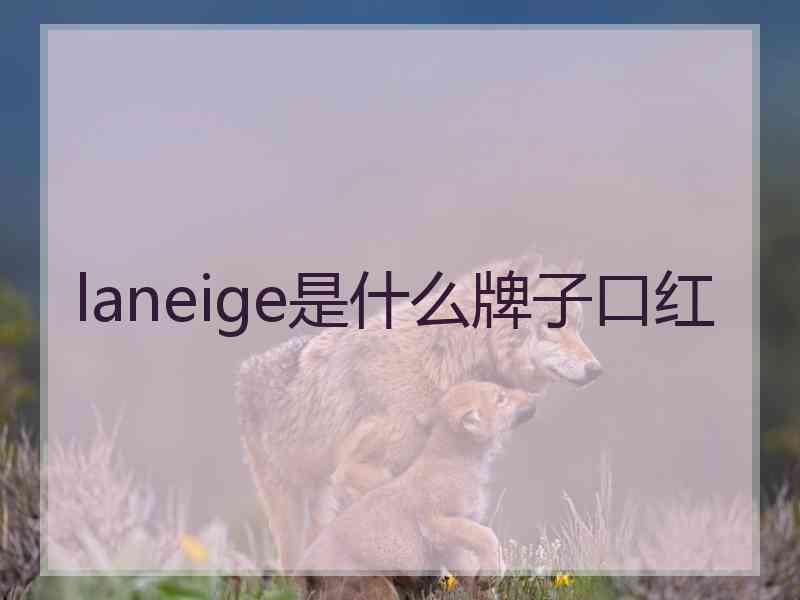 laneige是什么牌子口红