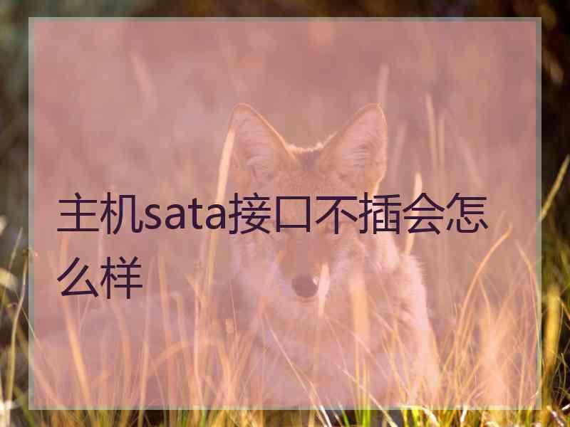 主机sata接口不插会怎么样