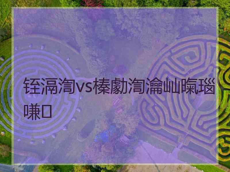 铚滆渹vs榛勮渹瀹屾暣瑙嗛