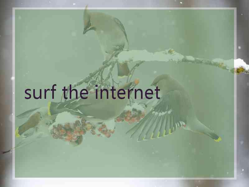 surf the internet