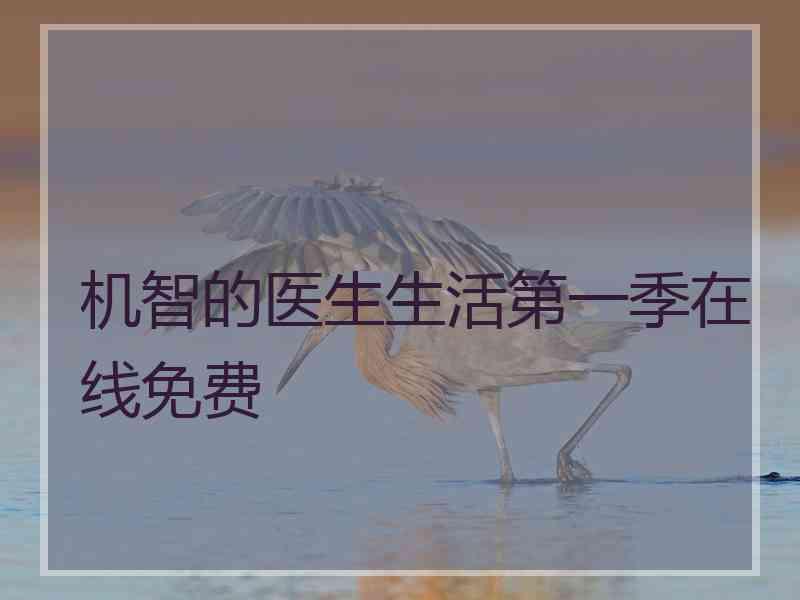 机智的医生生活第一季在线免费