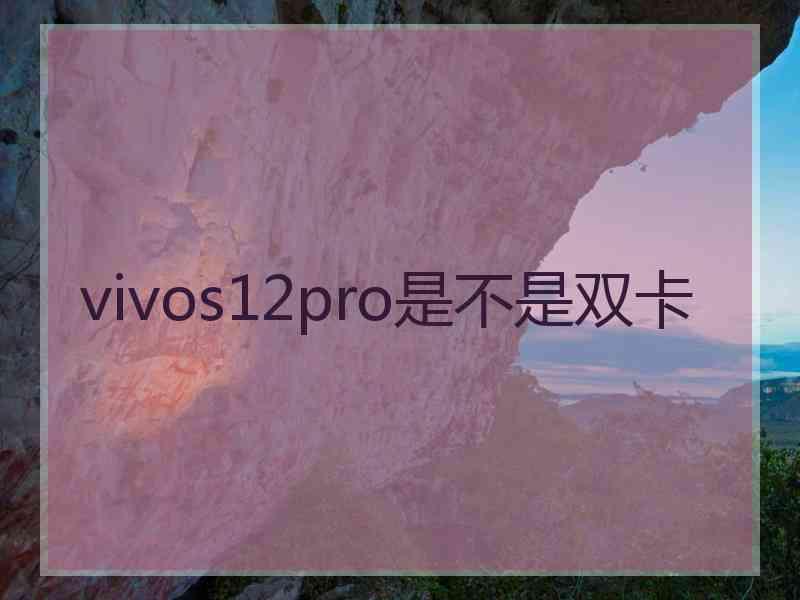 vivos12pro是不是双卡