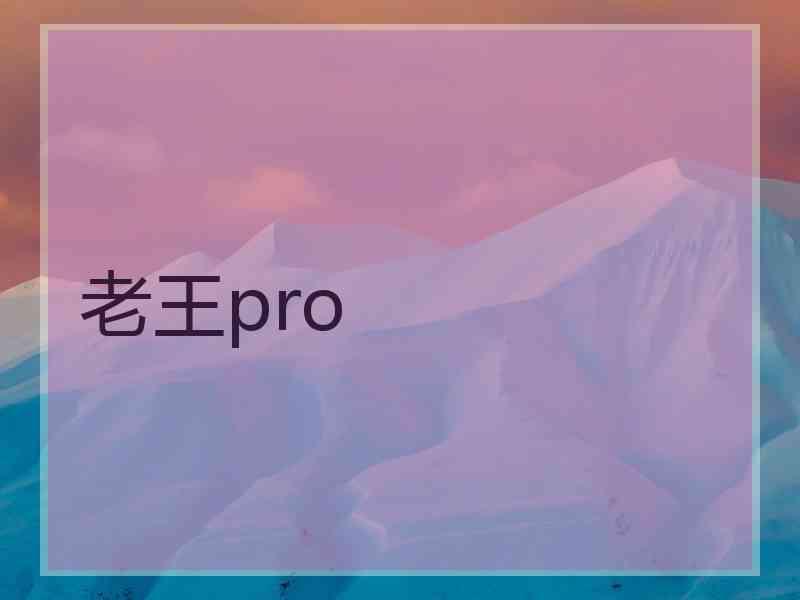 老王pro