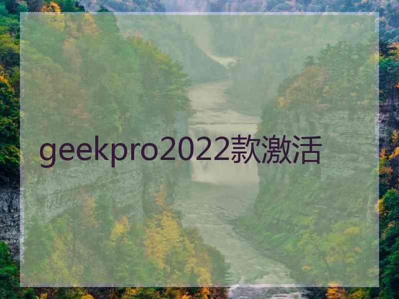 geekpro2022款激活