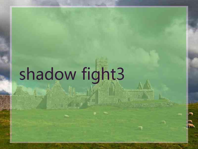 shadow fight3