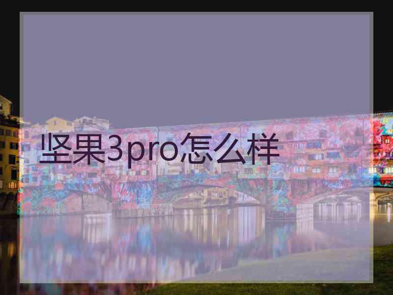 坚果3pro怎么样