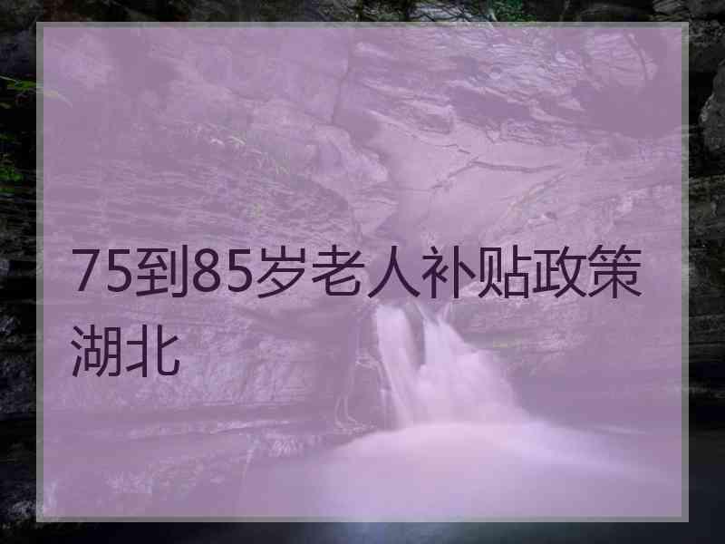 75到85岁老人补贴政策湖北