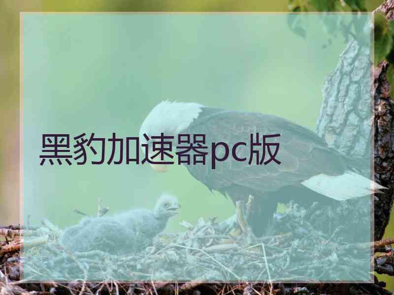 黑豹加速器pc版